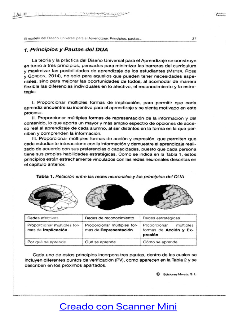 Princípios y Pautas Del DUA | PDF