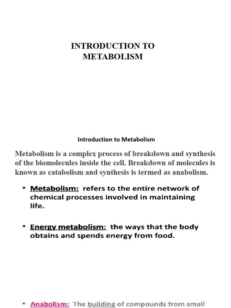 Understanding Metabolism: Catabolism & Anabolism | PDF
