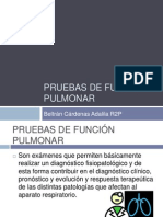 PRUEBAS DE FUNCIÓN PULMONAR