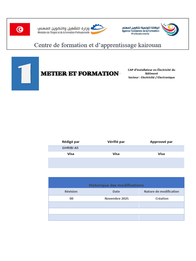 CAP Installateur Électricité Bâtiment | PDF | Domotique | Électricien
