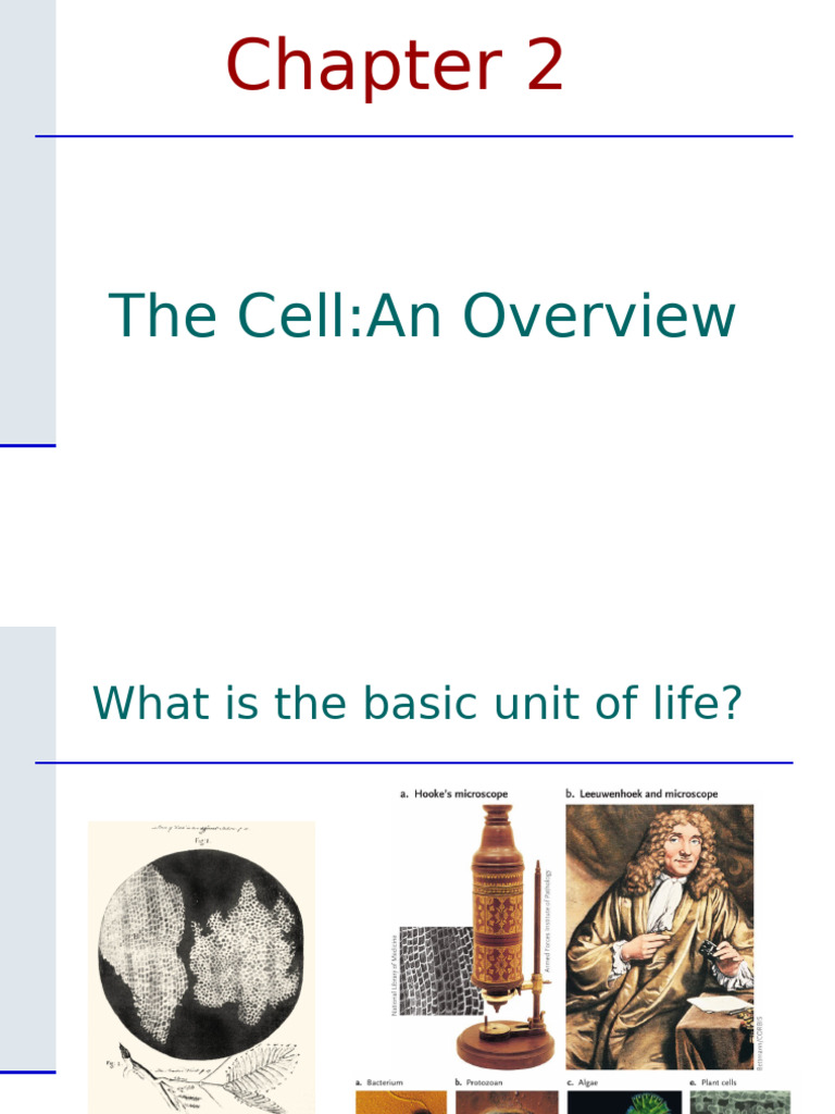 Chapter 2 - The Cell | PDF | Cell (Biology) | Endoplasmic Reticulum
