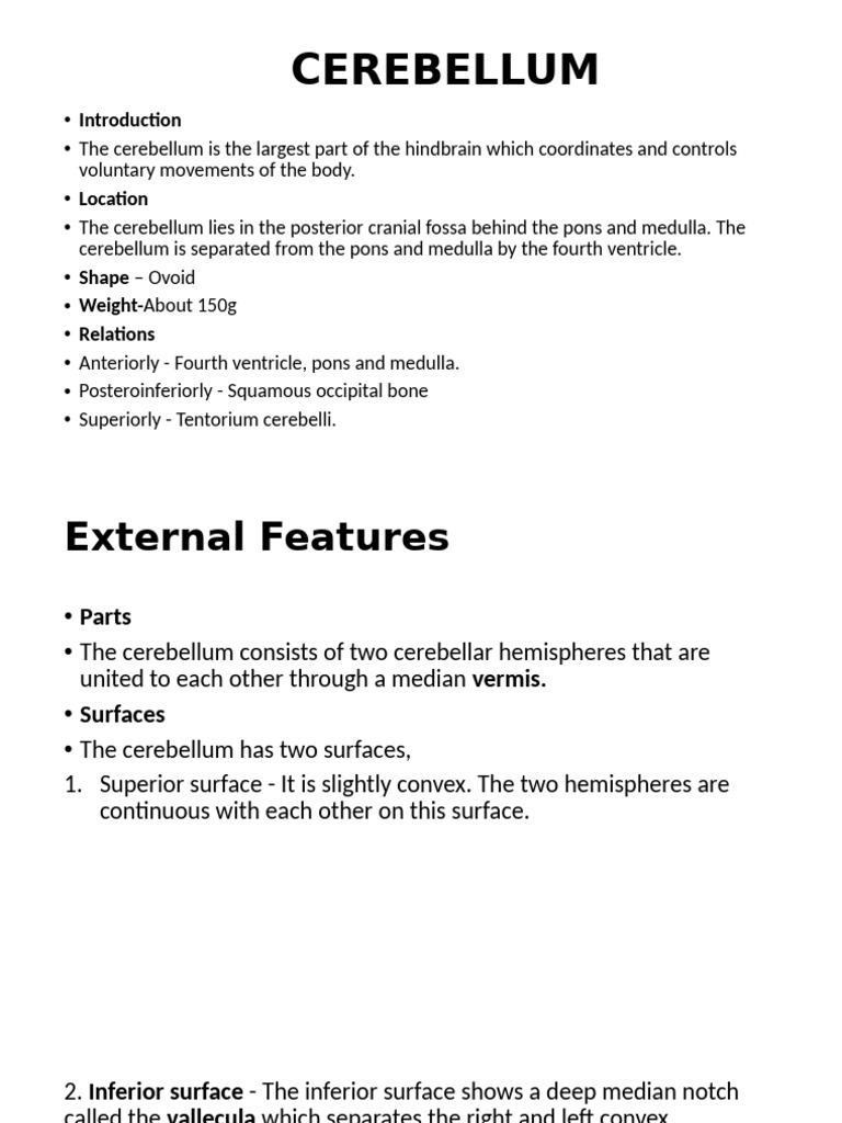 Anatomy and Functions of the Cerebellum | PDF | Cerebellum | Neuroanatomy