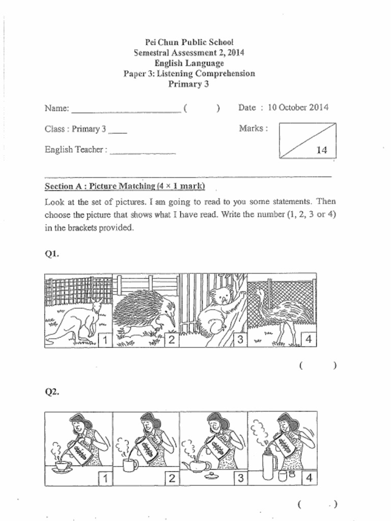 P3 English 2014 SA2 Pei Chun Exam Paper | PDF