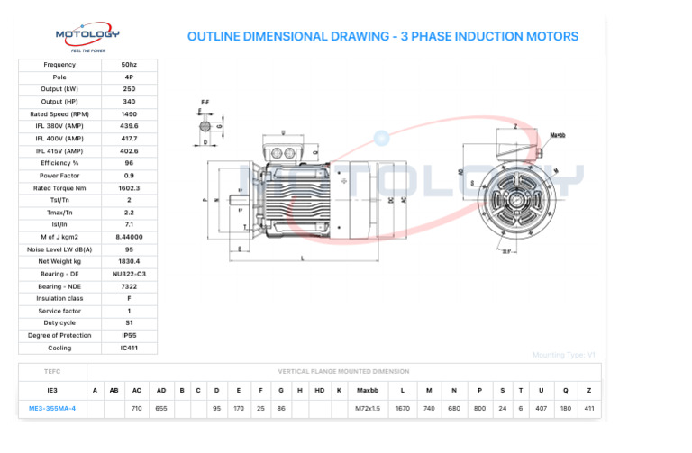 250kW 3-Phase Induction Motor Specs | PDF