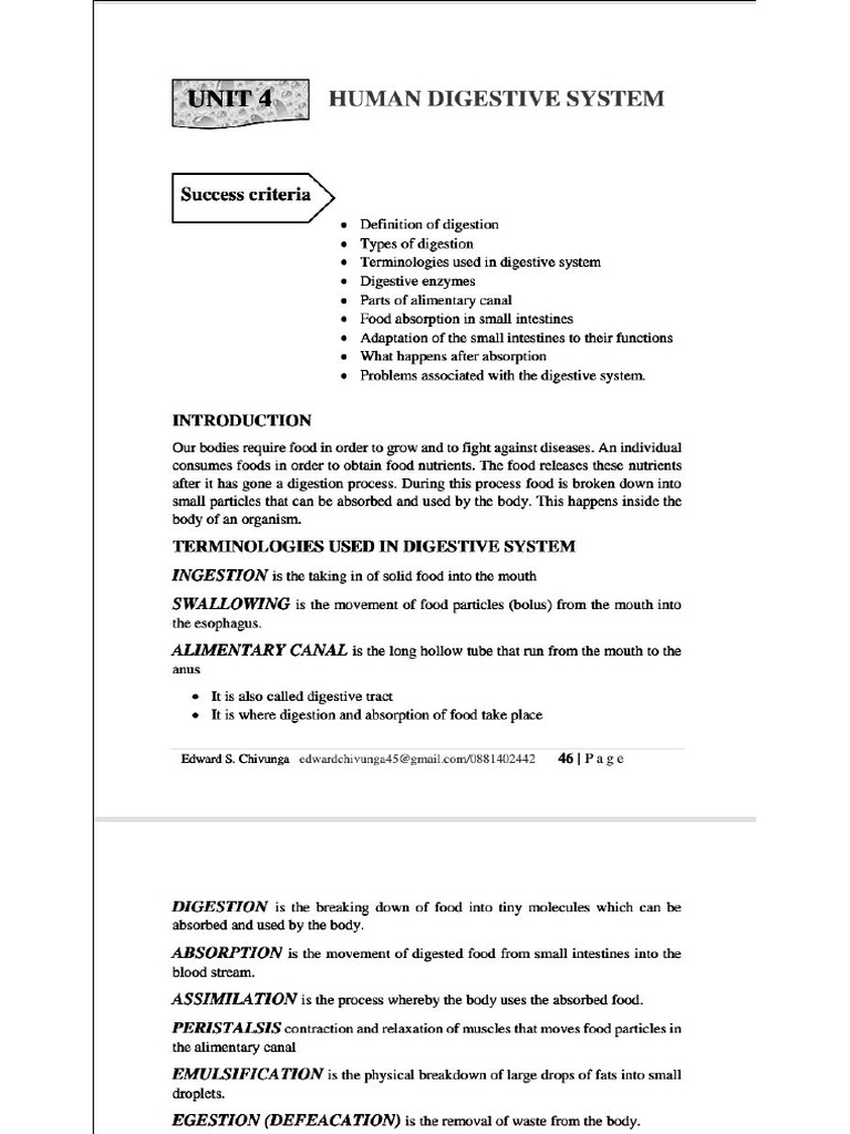 Human Digestive System | PDF