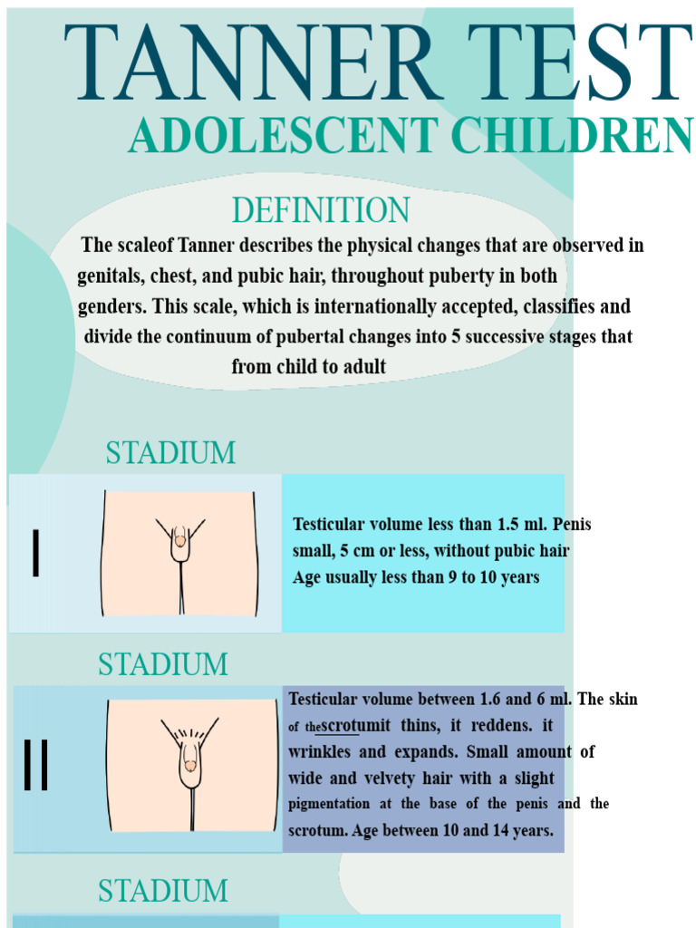 Tanner Stages of Puberty Explained | PDF