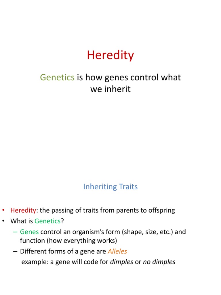 Understanding Heredity and Genetics | PDF | Dominance (Genetics) | Allele
