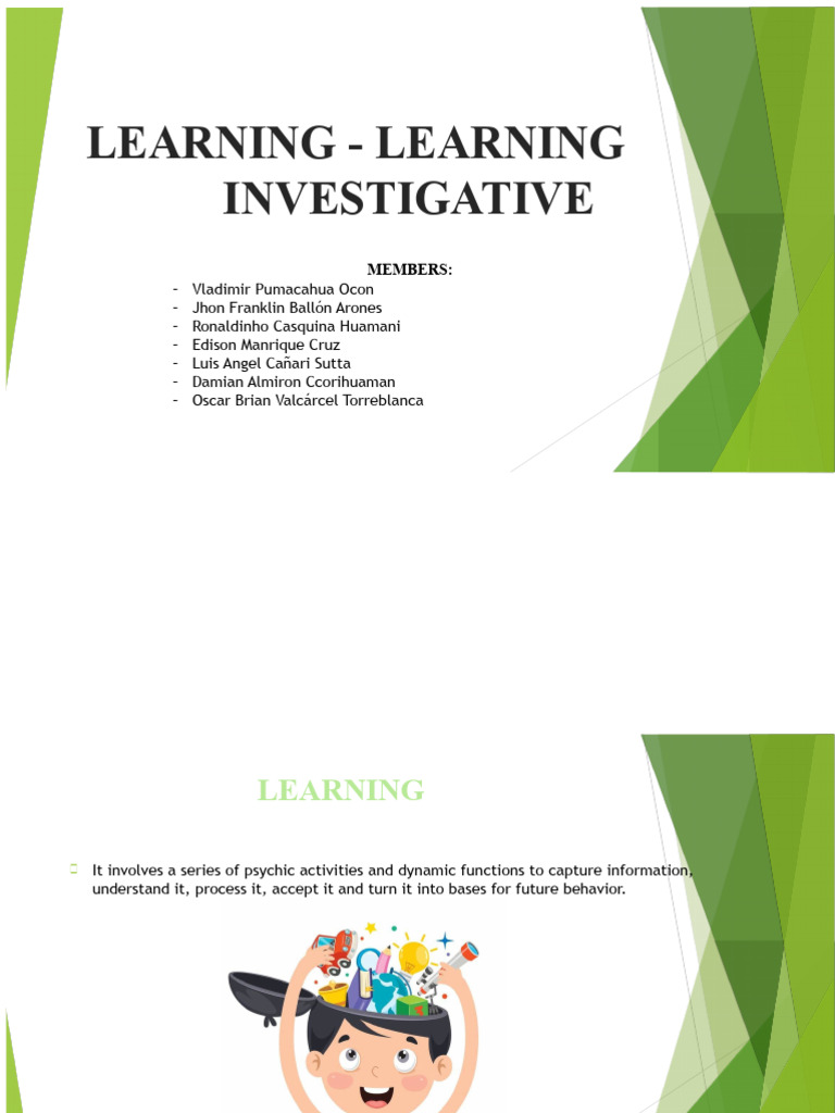 Understanding Investigative Learning | PDF