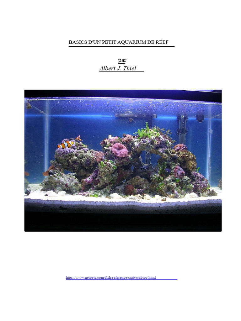 Guide économique pour aquarium récifal | PDF | Filtration | Aquarium