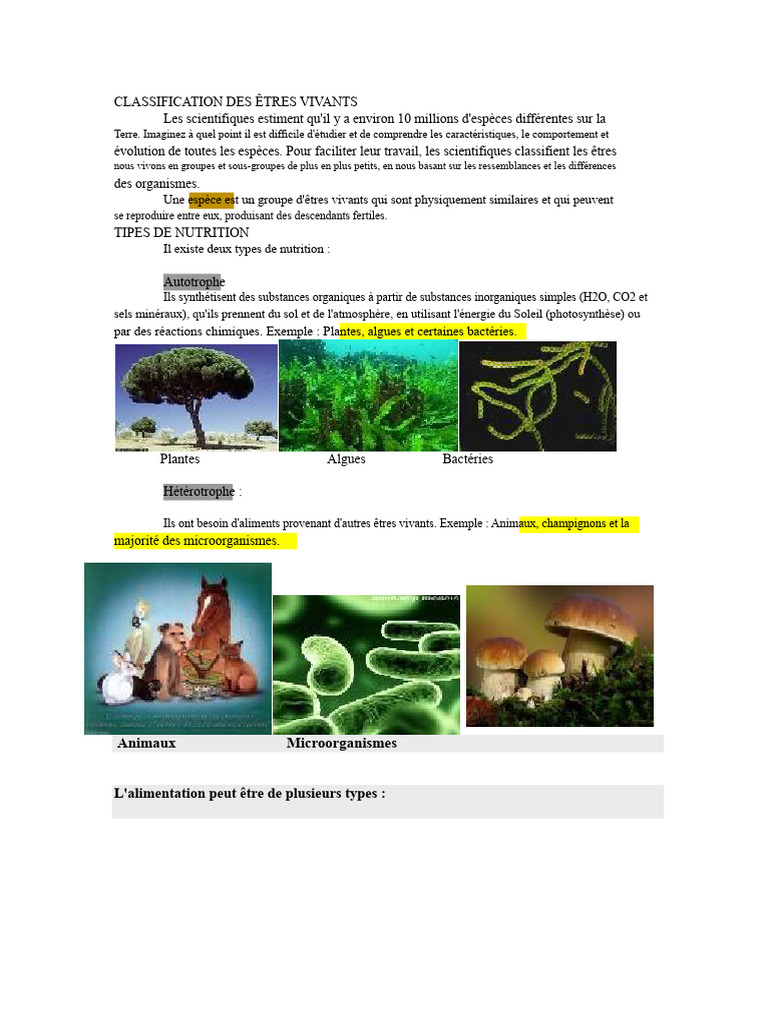 Classification des Êtres Vivants et Nutrition | PDF | Plantes | Champignons