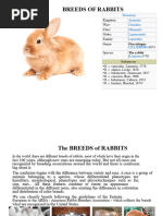 JAX Mouse Pup Age Appearance Guide | PDF