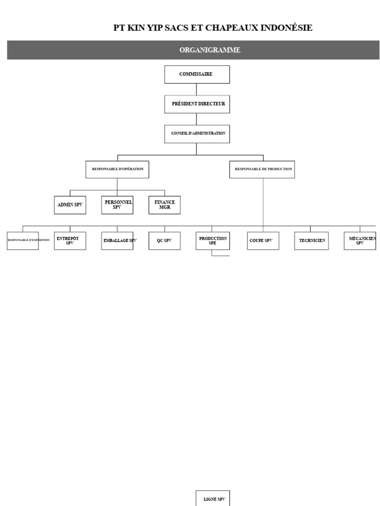 Organigramme et Flux de Production Kin Yip | PDF | Business