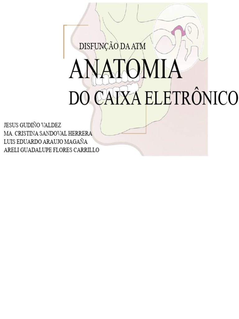 Anatomia Da ATM | PDF | Anatomia humana | Anatomia dos primatas