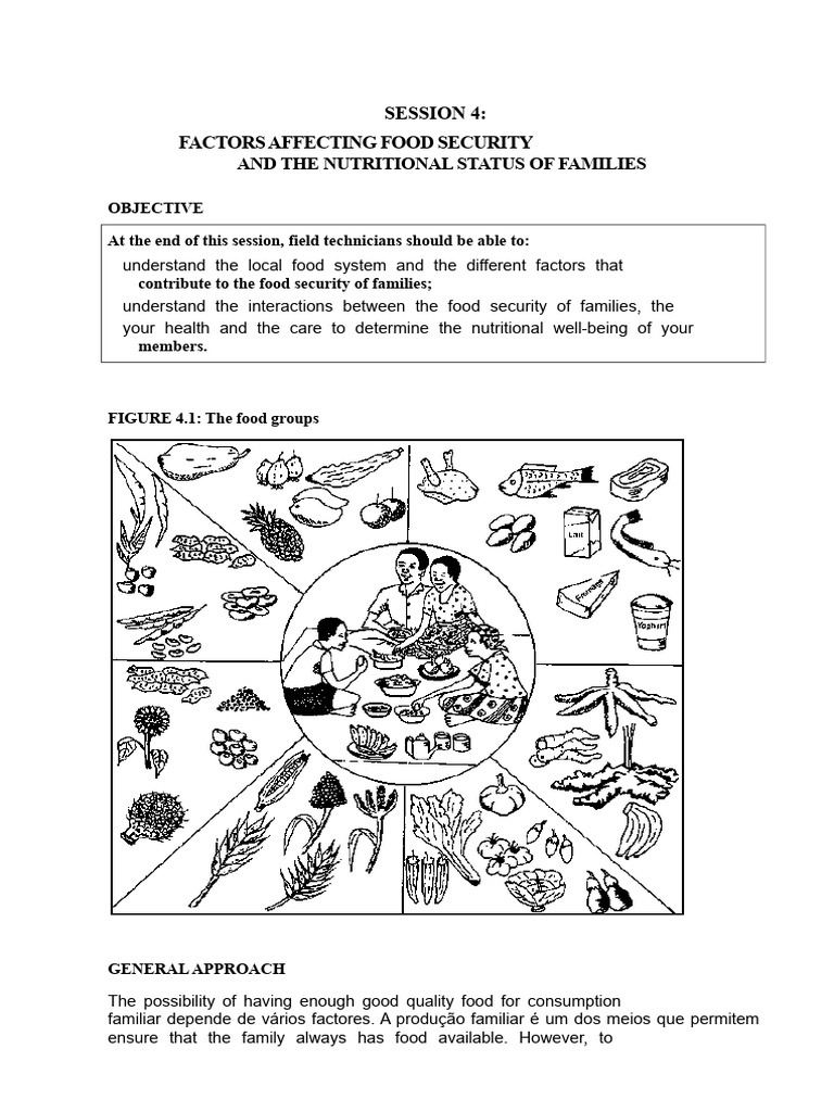 Food Security Factors and Nutrition Insights | PDF | Food Security ...