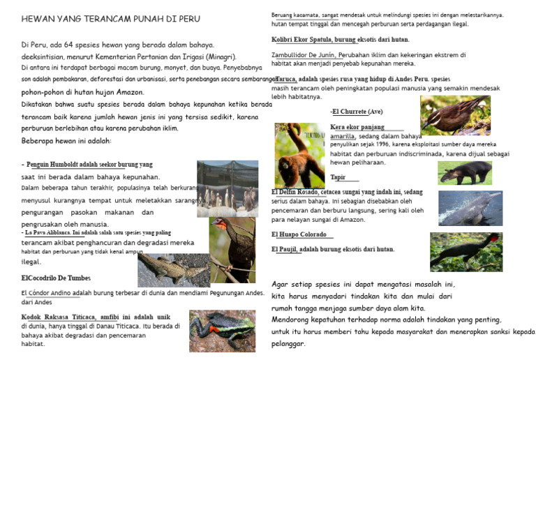 Lindungi Spesies Terancam di Peru | PDF