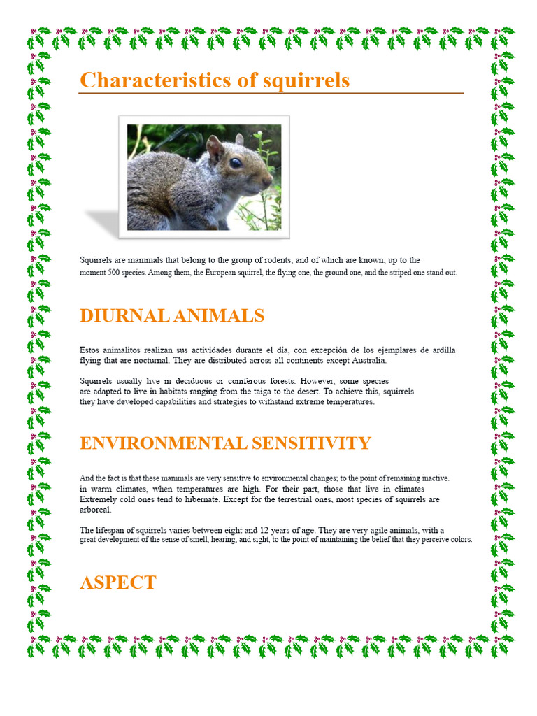 Characteristics of Squirrels | PDF | Squirrel | Mammals