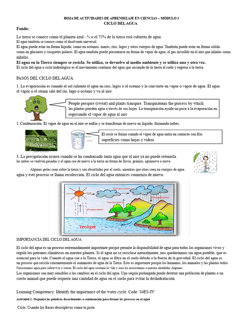 Actividades sobre el Ciclo del Agua | PDF | Agua | El ciclo del agua