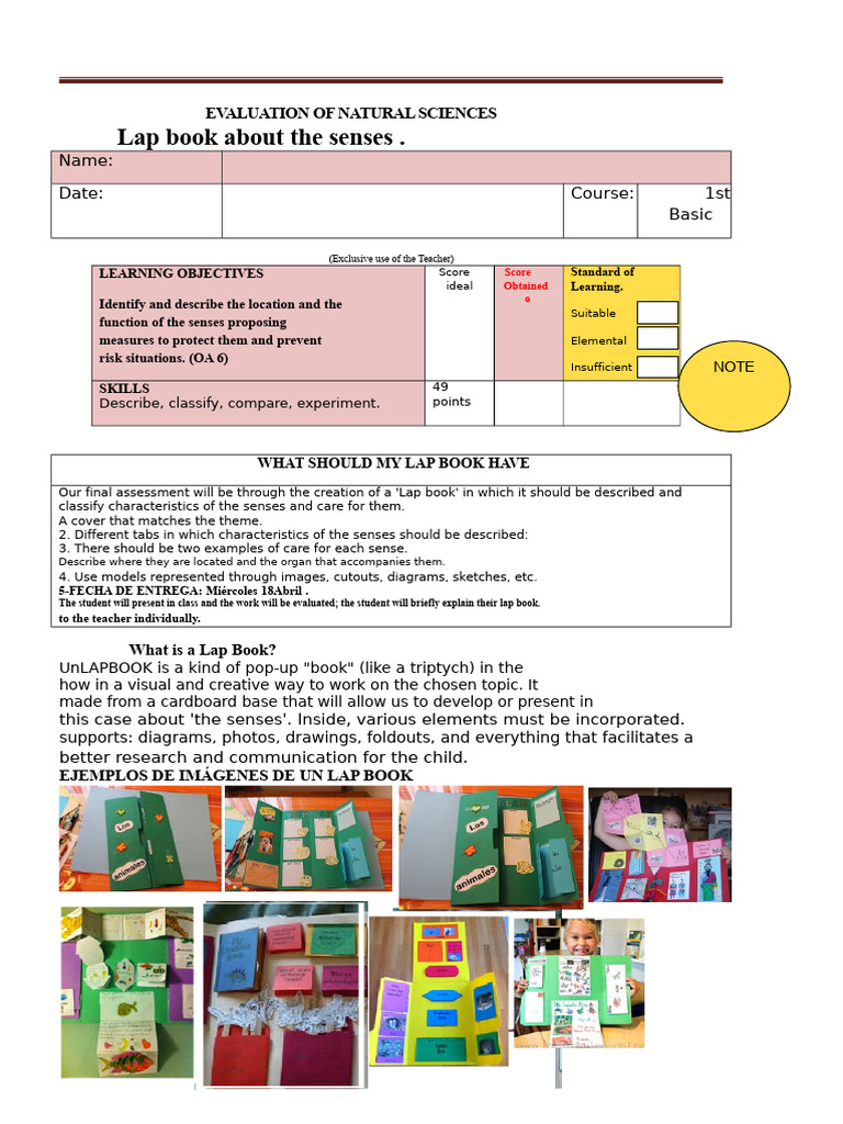 Natural Sciences Lap Book Guide | PDF | Cognition | Cognitive Science