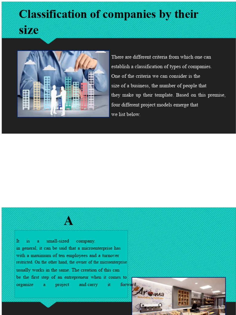 Company Size Classification Guide | PDF | Private Sector | Business ...
