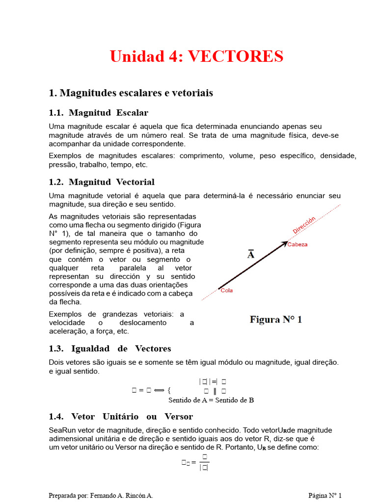 Fundamentos de Vetores e Operações | PDF | Vetor euclidiano | Espaço ...