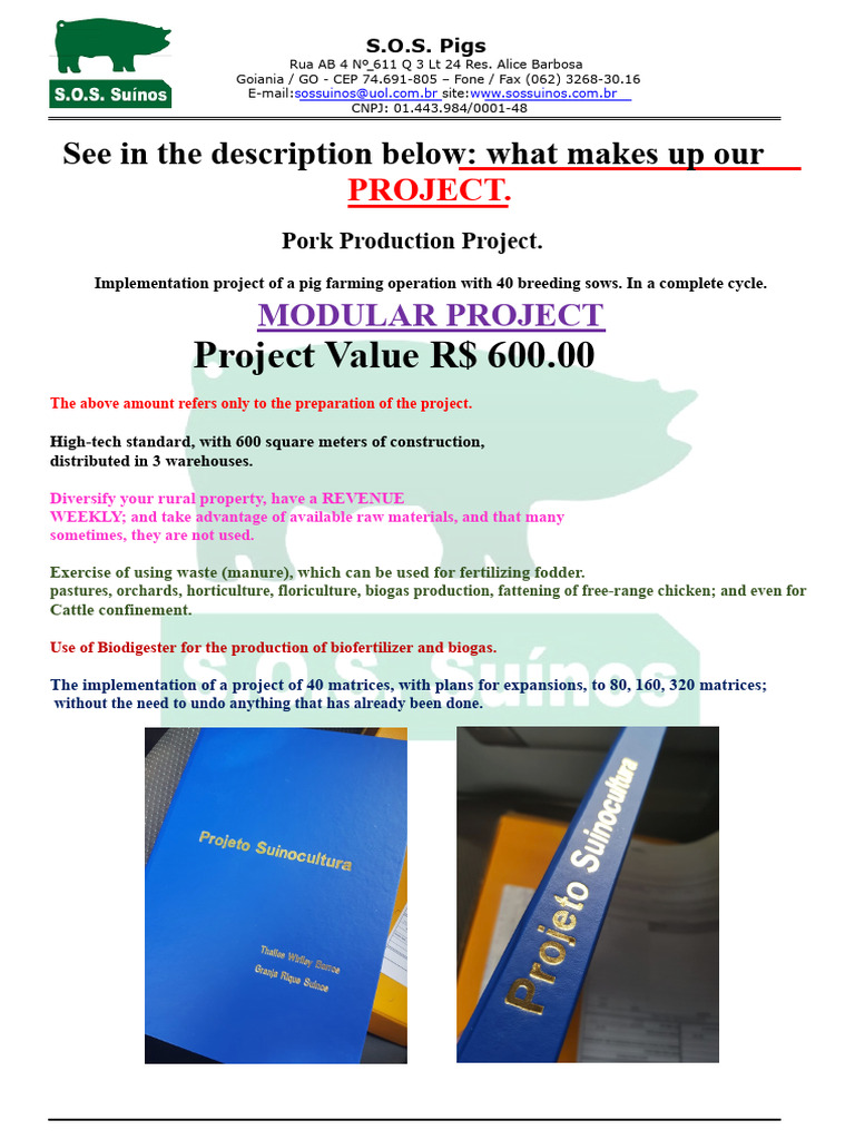 Modular Pig Farming Project Overview | PDF | Pig