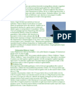 Download Gjuha e kafsheve by Greta Ekonomi SN95779473 doc pdf