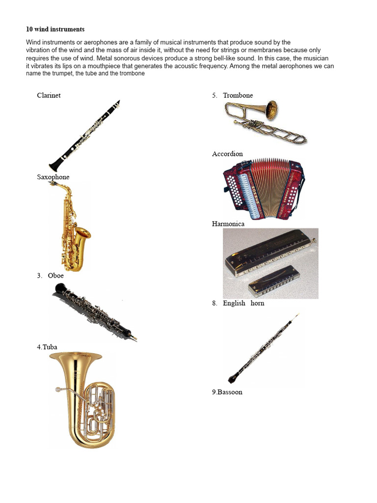 Types of Musical Instruments Explained | PDF | String Instruments ...