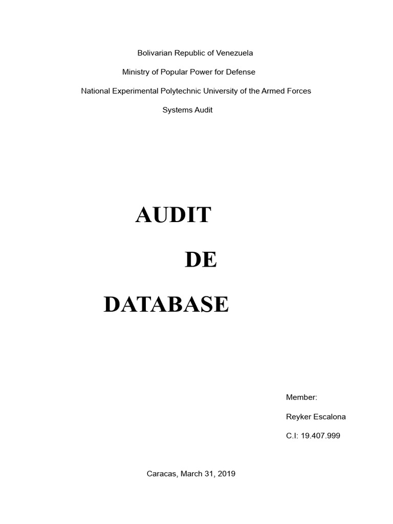 Database Audit | PDF | Databases | Computing