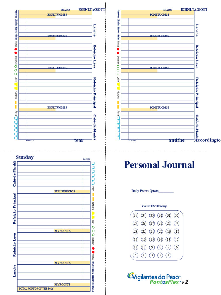 Daily Points Tracker Journal | PDF