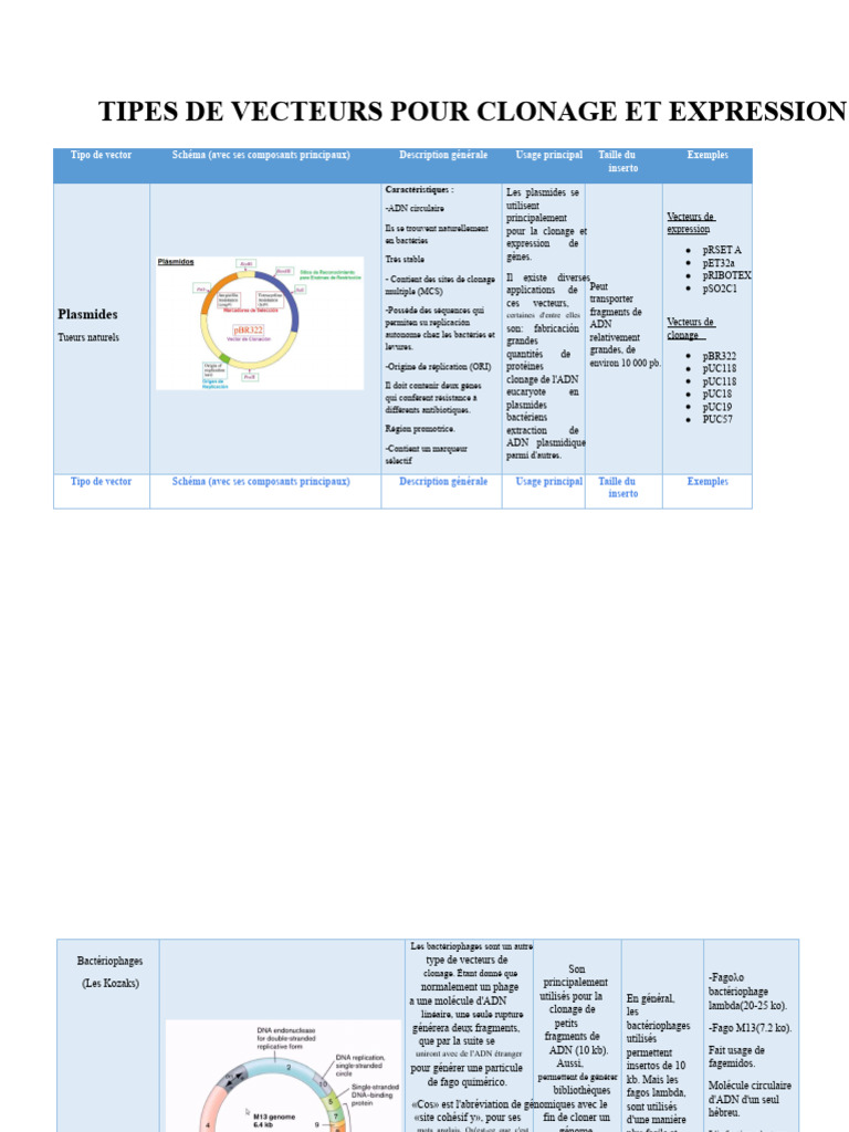 Types de vecteurs pour clonage génétique | PDF | Plasmide | Bactériophage