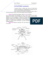 H5 Picnogonidos