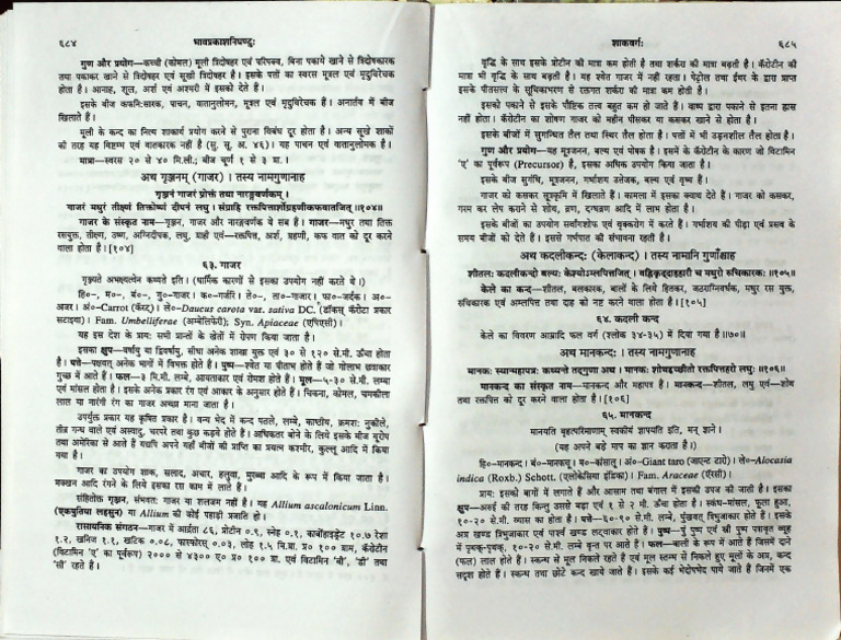 CAROT | PDF
