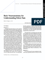 Basic Neuroanatomy