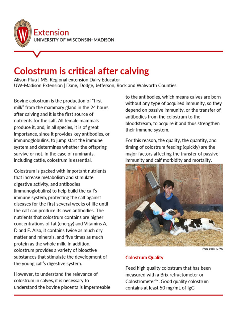Colostrum Quality Article 05 2023 | PDF | Immunology