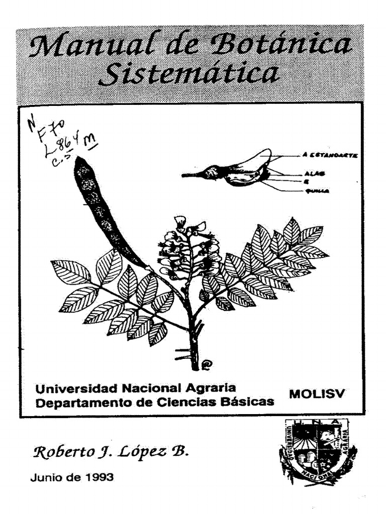 Botánica 2 | PDF