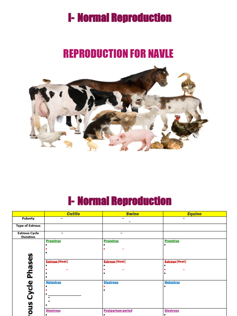 Normal Reproduction in Livestock | PDF