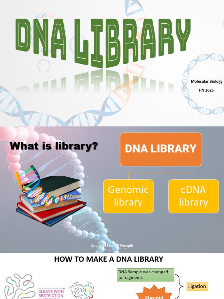 Lession 4.2 DNA Library 2025 | PDF | Complementary Dna | Molecular Cloning