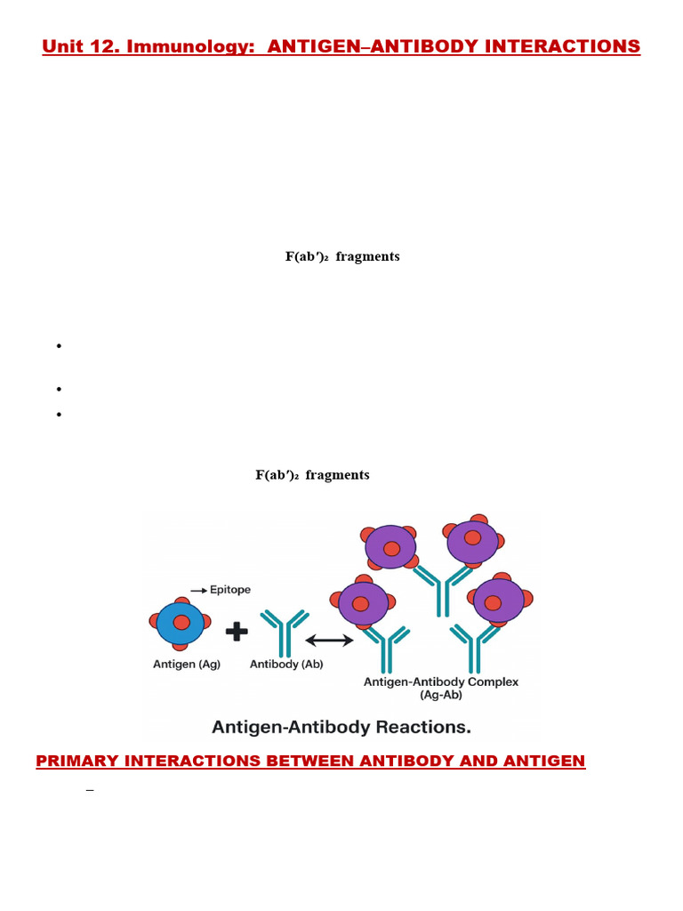 Antigen-Antibody Interactions Explained | PDF | Antibody | Allergy