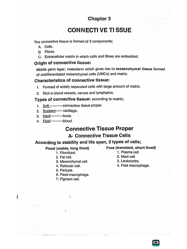 Chapter 3 Connective Tissue | PDF