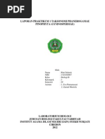 Download LAPORAN PRAKTIKUM 1 PINOPHYTA by Rina Anggraeni Dewi SN95787364 doc pdf