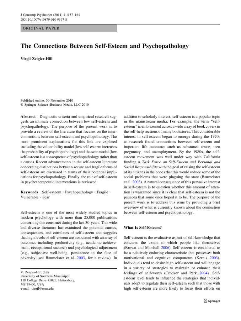 The Connections Between Self Esteem and | PDF | Self Esteem | Mental ...