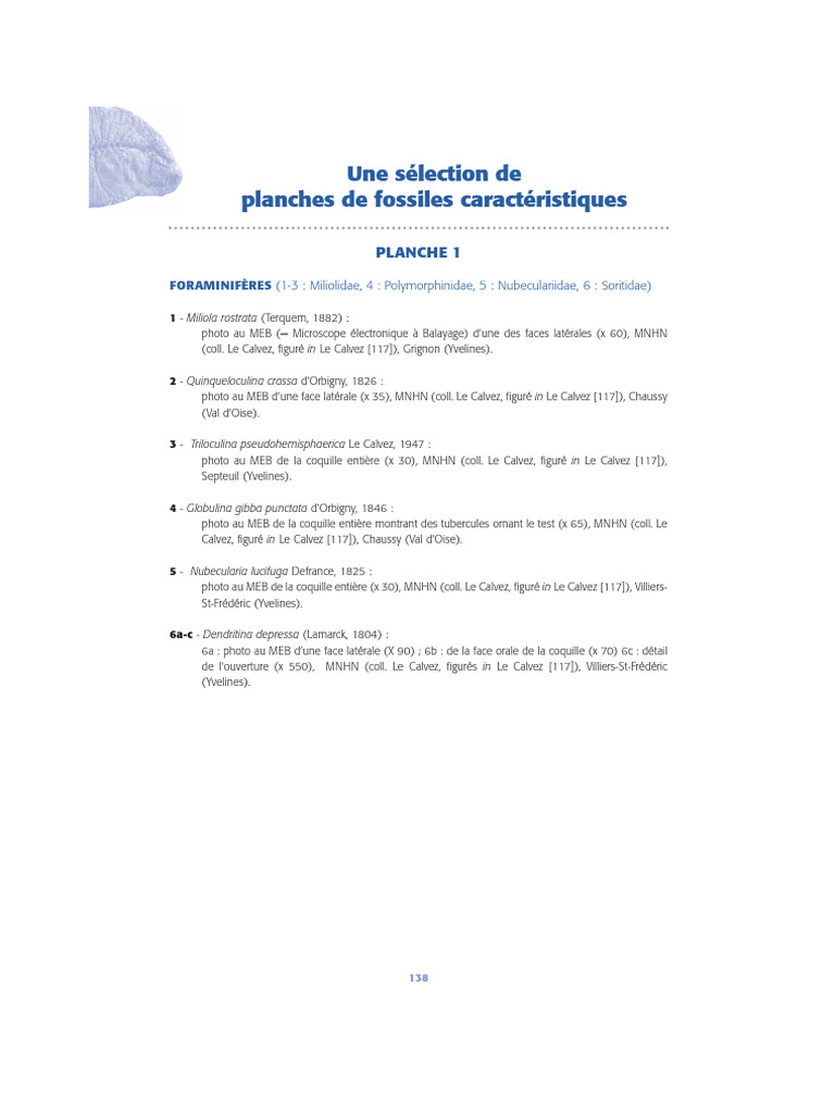 Planches de fossiles : foraminifères et plus | PDF | Zoologie