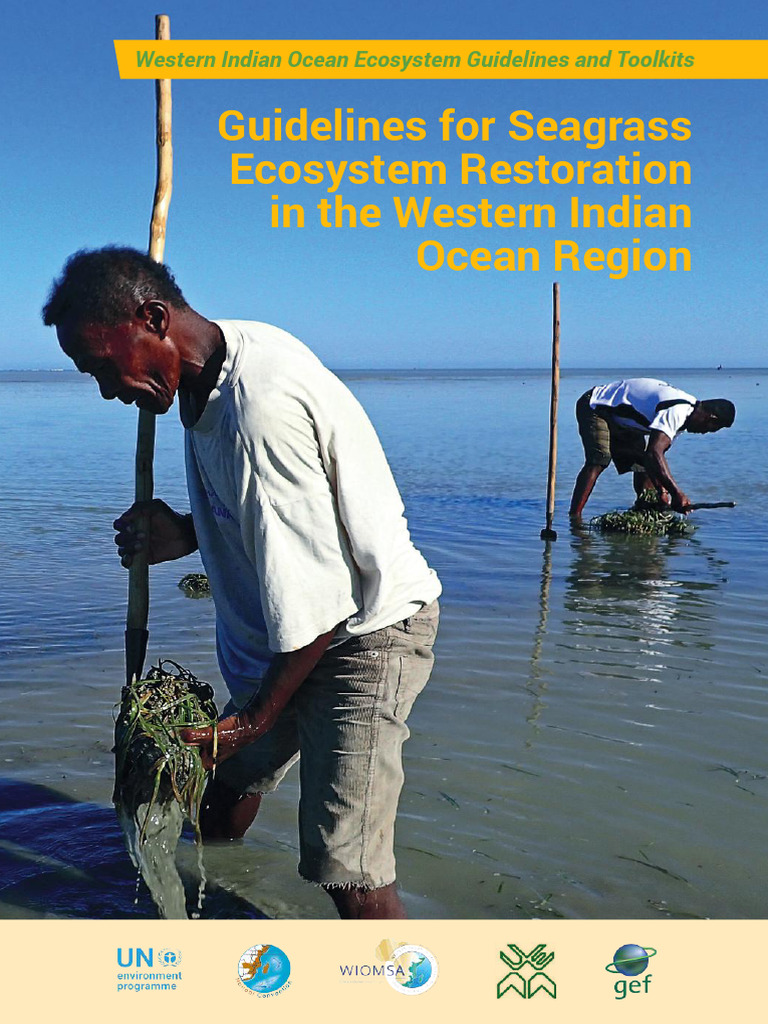 Guidelines For Seagrass Ecosystem Restoration in The Western Indian ...