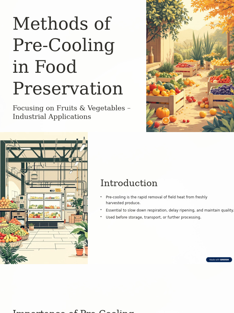 Pre-Cooling Methods for Food Preservation | PDF | Food Preservation