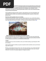 Download Bagaimana Supaya Ayam Cepat Besar by Zaenal Saefudin SN95791161 doc pdf