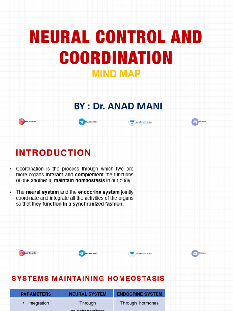 Neural Control and Coordination Overview | PDF | Nervous System | Ear