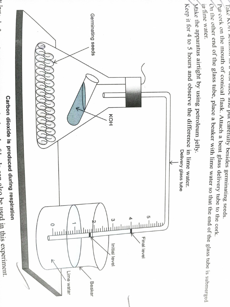 Experiment 9 Biology | PDF