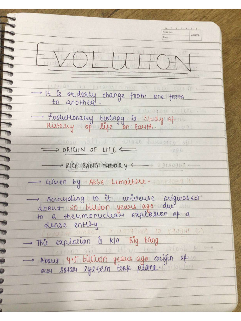 EVOLUTION | PDF