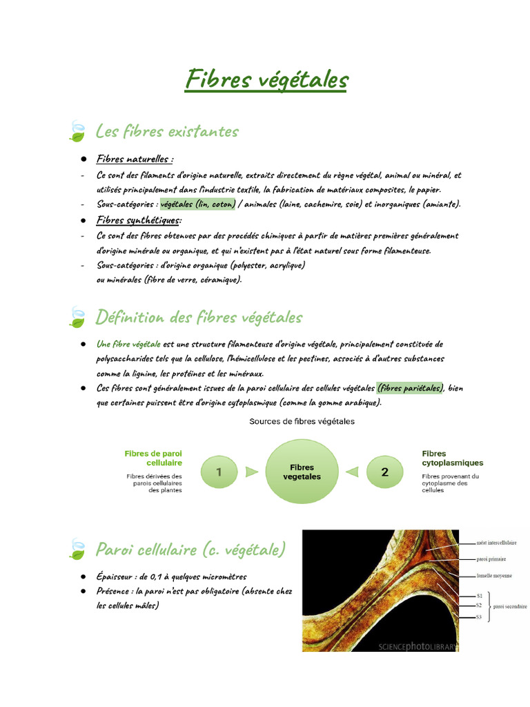 Fibres végétales : types et propriétés | PDF | Lignine | Cellulose