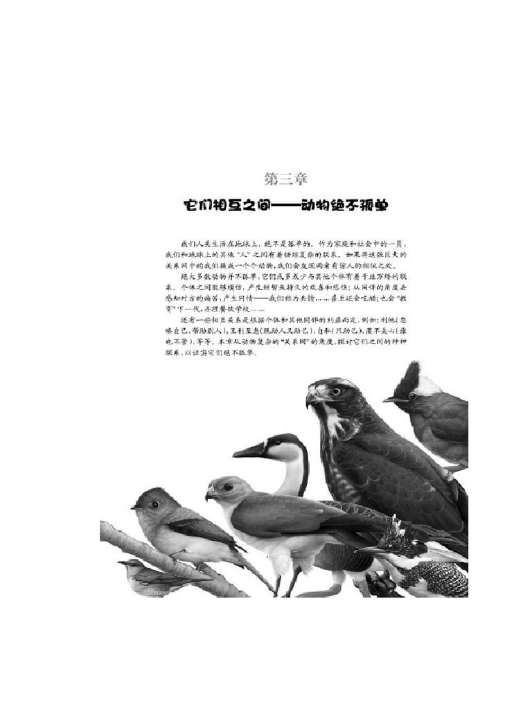 食之有未- Podcast - Apple Podcasts, image size:768x1024